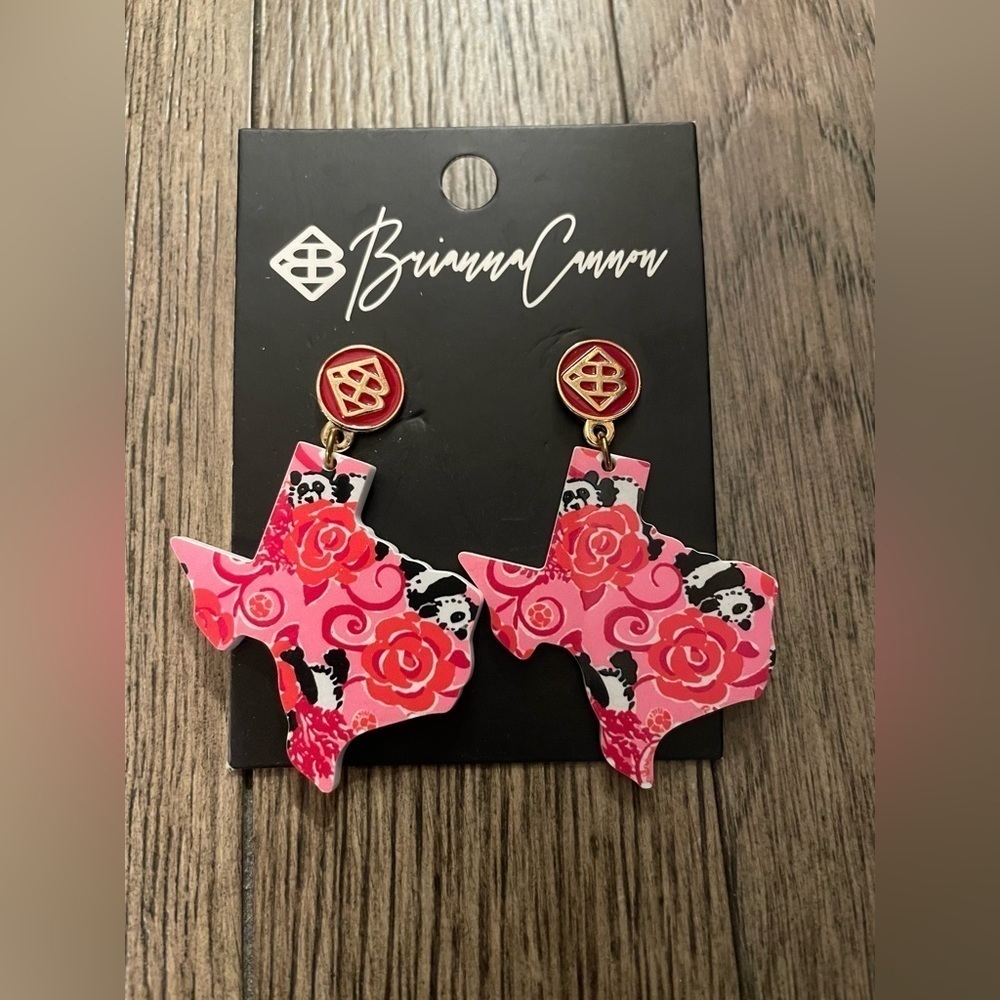 Brianna Cannon Alpha Omicron Pi Texas shaped post back earrings